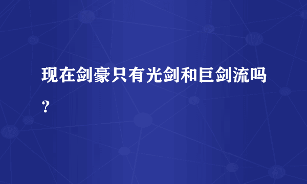 现在剑豪只有光剑和巨剑流吗？