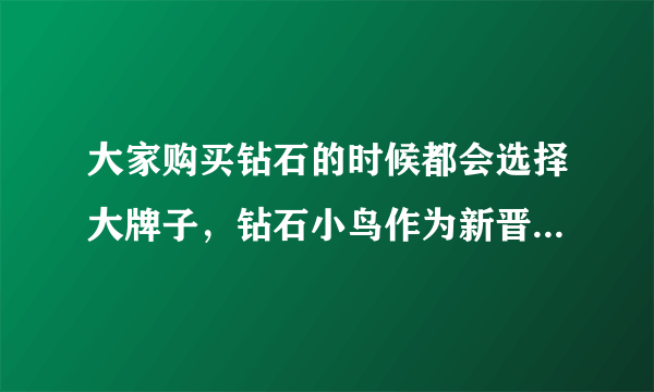 大家购买钻石的时候都会选择大牌子，钻石小鸟作为新晋的牌子怎么样呢？