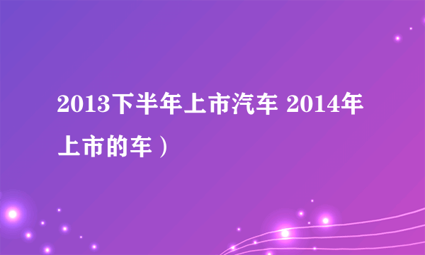 2013下半年上市汽车 2014年上市的车）