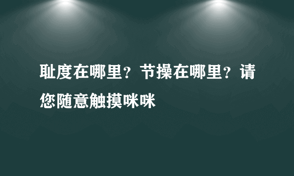 耻度在哪里？节操在哪里？请您随意触摸咪咪