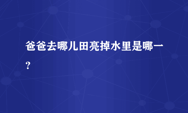 爸爸去哪儿田亮掉水里是哪一？