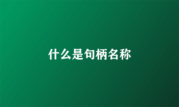 什么是句柄名称