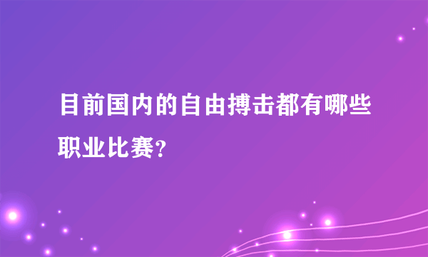 目前国内的自由搏击都有哪些职业比赛？