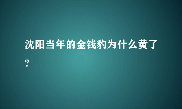 沈阳当年的金钱豹为什么黄了？