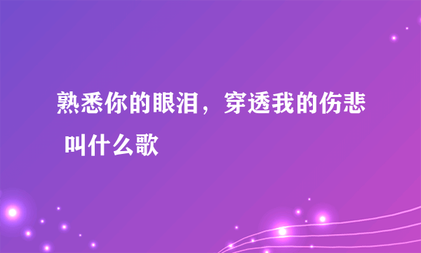 熟悉你的眼泪，穿透我的伤悲 叫什么歌