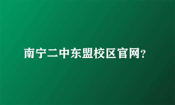 南宁二中东盟校区官网？