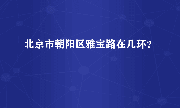 北京市朝阳区雅宝路在几环？