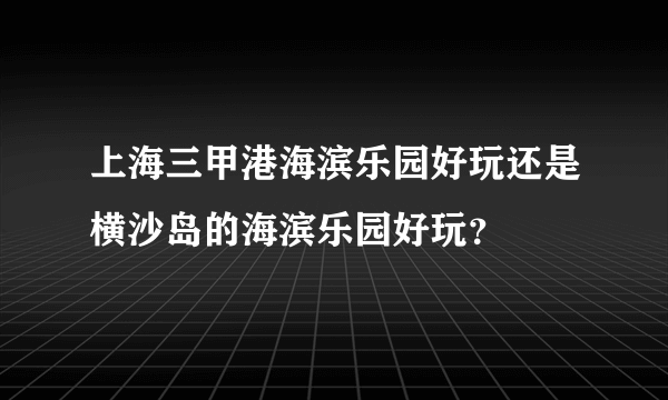 上海三甲港海滨乐园好玩还是横沙岛的海滨乐园好玩？