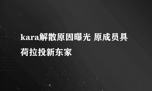 kara解散原因曝光 原成员具荷拉投新东家