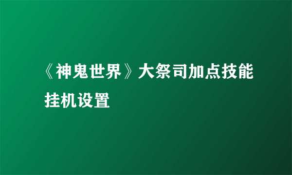 《神鬼世界》大祭司加点技能 挂机设置