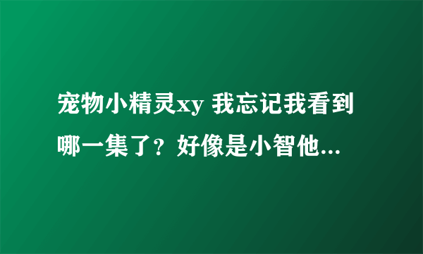 宠物小精灵xy 我忘记我看到哪一集了？好像是小智他们遇到了杰尼龟小火龙妙蛙种子 三只主兽 。。。请