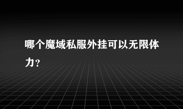 哪个魔域私服外挂可以无限体力？