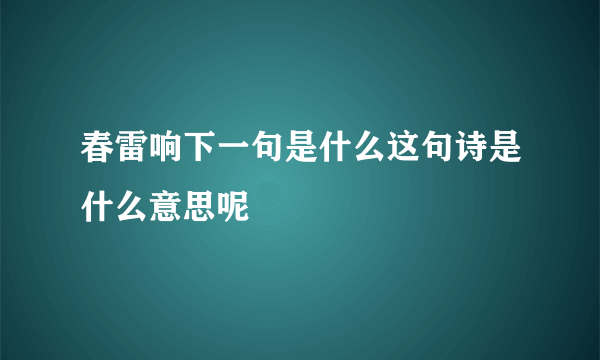 春雷响下一句是什么这句诗是什么意思呢