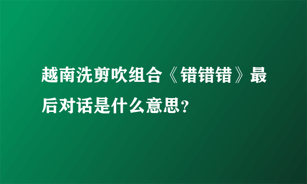 越南洗剪吹组合《错错错》最后对话是什么意思？