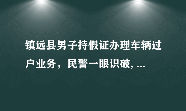 镇远县男子持假证办理车辆过户业务，民警一眼识破, 你怎么看？