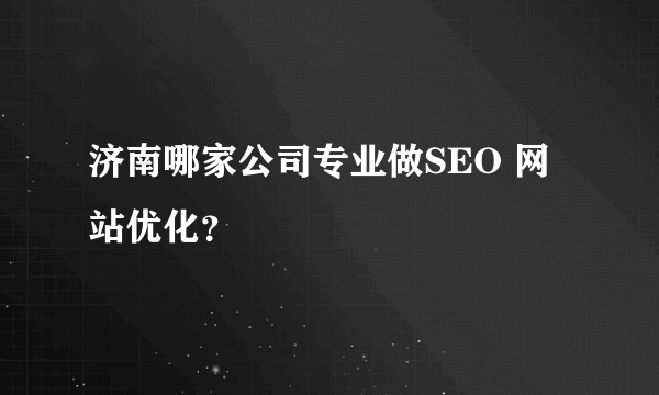 济南哪家公司专业做SEO 网站优化？