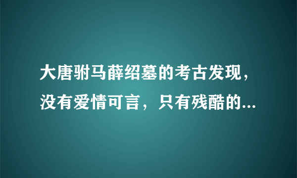 大唐驸马薛绍墓的考古发现，没有爱情可言，只有残酷的政治斗争