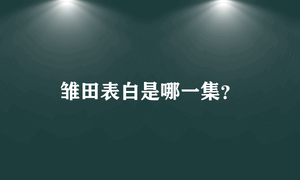 雏田表白是哪一集？