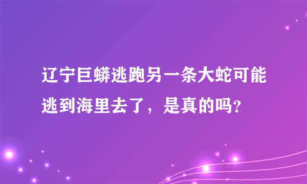 辽宁巨蟒逃跑另一条大蛇可能逃到海里去了，是真的吗？