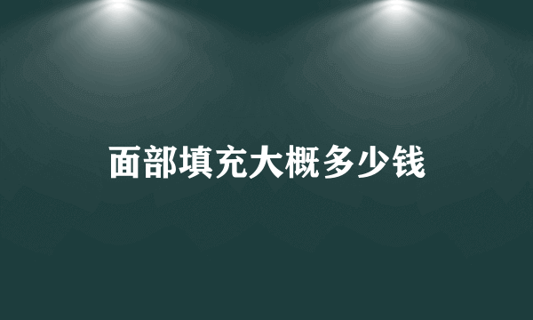 面部填充大概多少钱