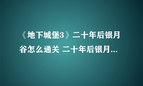 《地下城堡3》二十年后银月谷怎么通关 二十年后银月谷通关教程