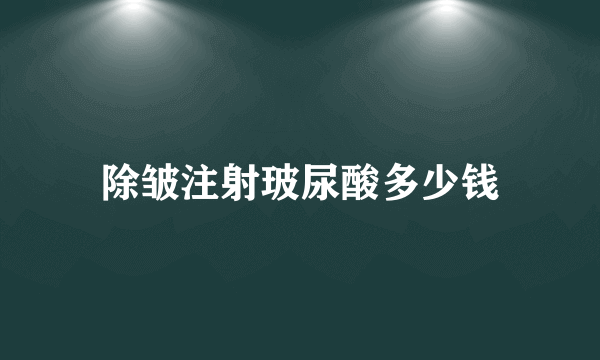 除皱注射玻尿酸多少钱