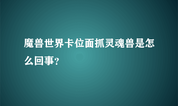 魔兽世界卡位面抓灵魂兽是怎么回事？