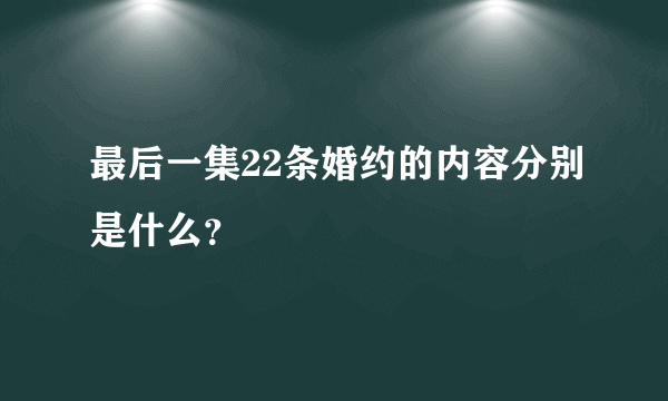 最后一集22条婚约的内容分别是什么？