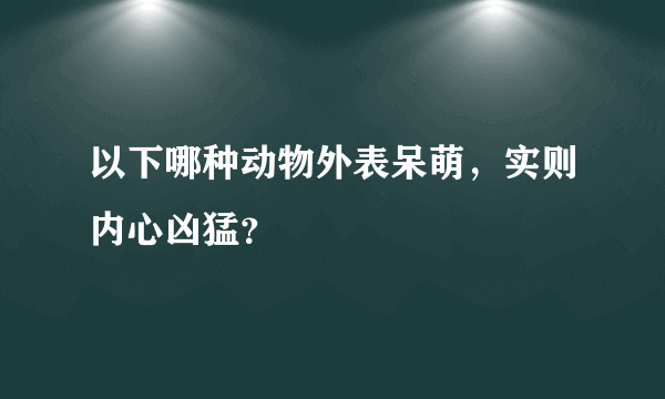 以下哪种动物外表呆萌，实则内心凶猛？