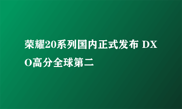 荣耀20系列国内正式发布 DXO高分全球第二