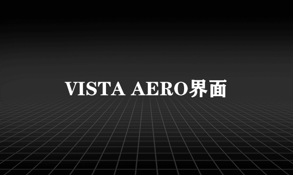 VISTA AERO界面