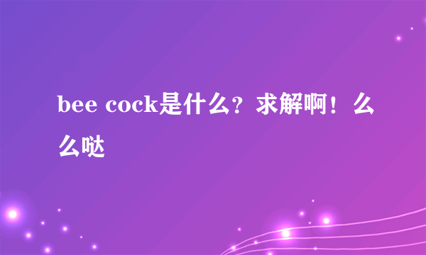 bee cock是什么？求解啊！么么哒