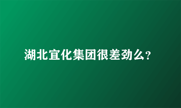 湖北宜化集团很差劲么？