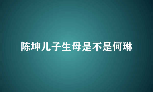 陈坤儿子生母是不是何琳