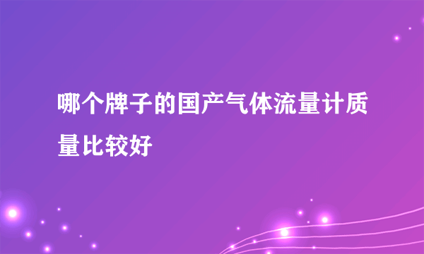 哪个牌子的国产气体流量计质量比较好