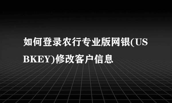 如何登录农行专业版网银(USBKEY)修改客户信息