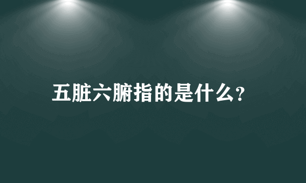 五脏六腑指的是什么？