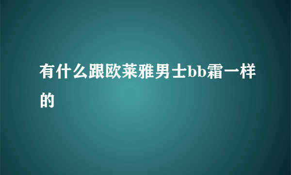 有什么跟欧莱雅男士bb霜一样的