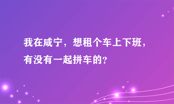 我在咸宁，想租个车上下班，有没有一起拼车的？