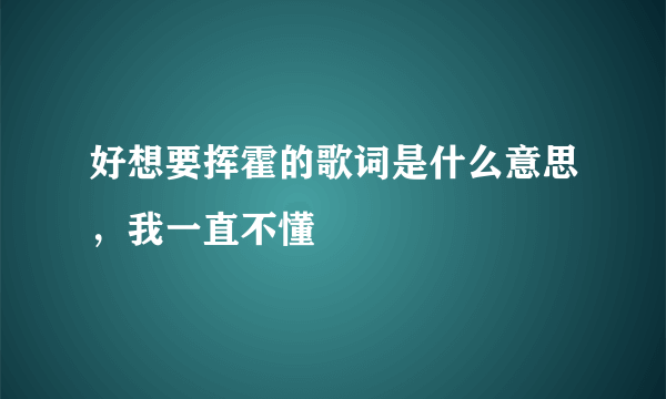 好想要挥霍的歌词是什么意思，我一直不懂