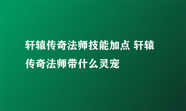 轩辕传奇法师技能加点 轩辕传奇法师带什么灵宠