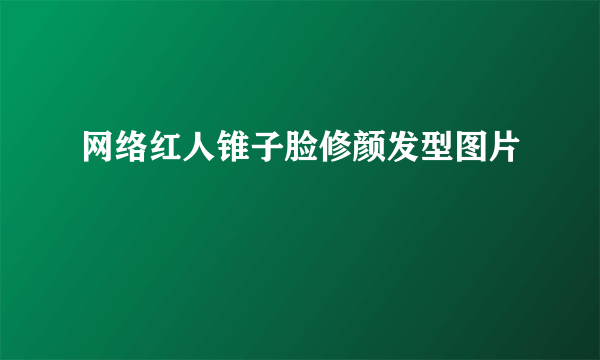 网络红人锥子脸修颜发型图片