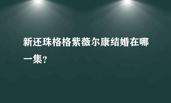 新还珠格格紫薇尔康结婚在哪一集？