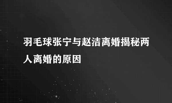 羽毛球张宁与赵洁离婚揭秘两人离婚的原因