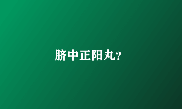 脐中正阳丸？