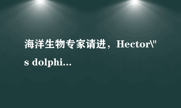 海洋生物专家请进，Hector\