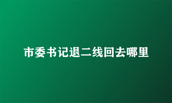 市委书记退二线回去哪里