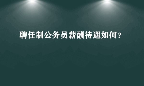 聘任制公务员薪酬待遇如何？