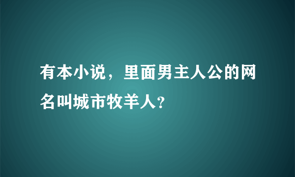 有本小说，里面男主人公的网名叫城市牧羊人？