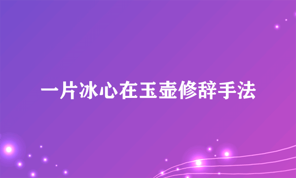 一片冰心在玉壶修辞手法